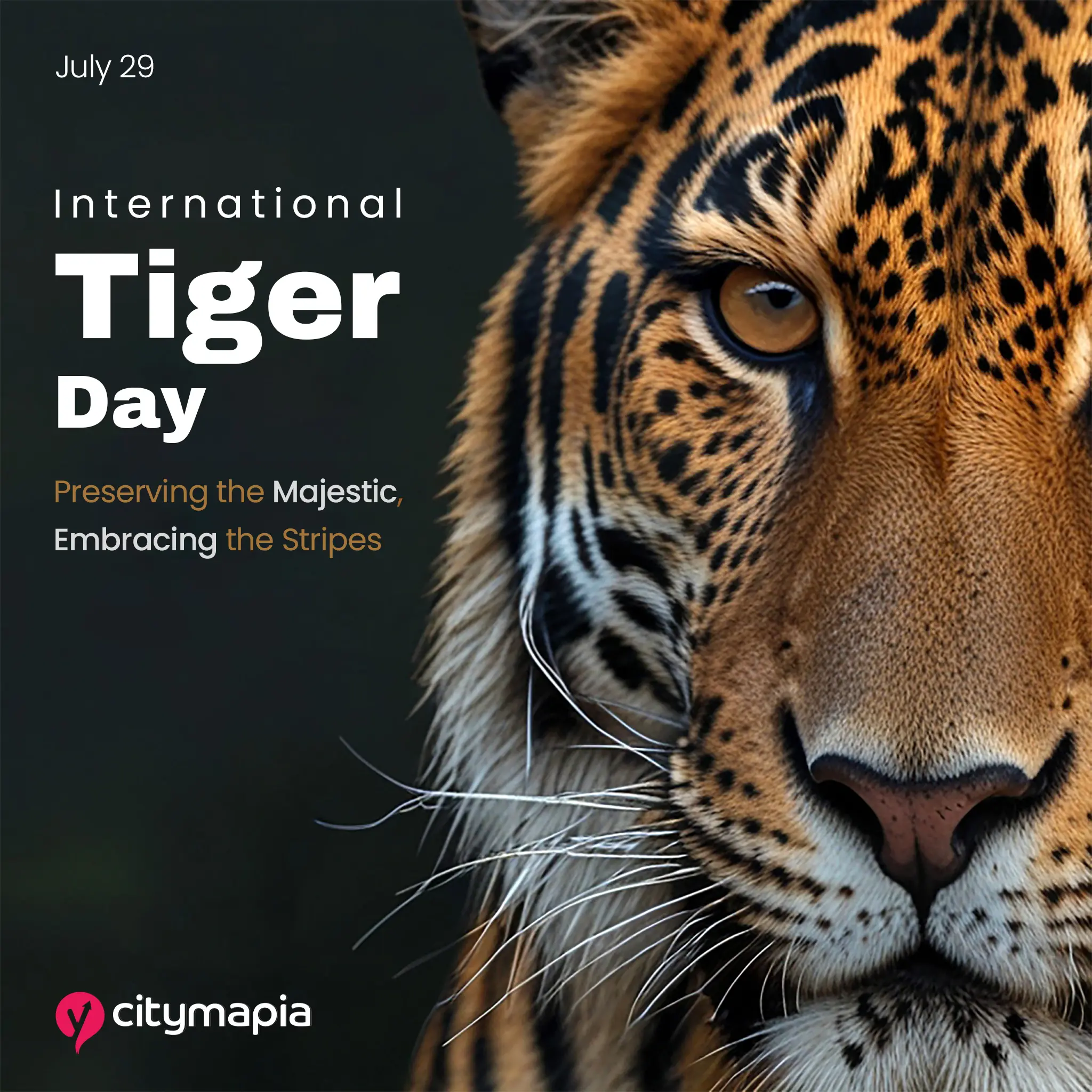 International Tiger Day