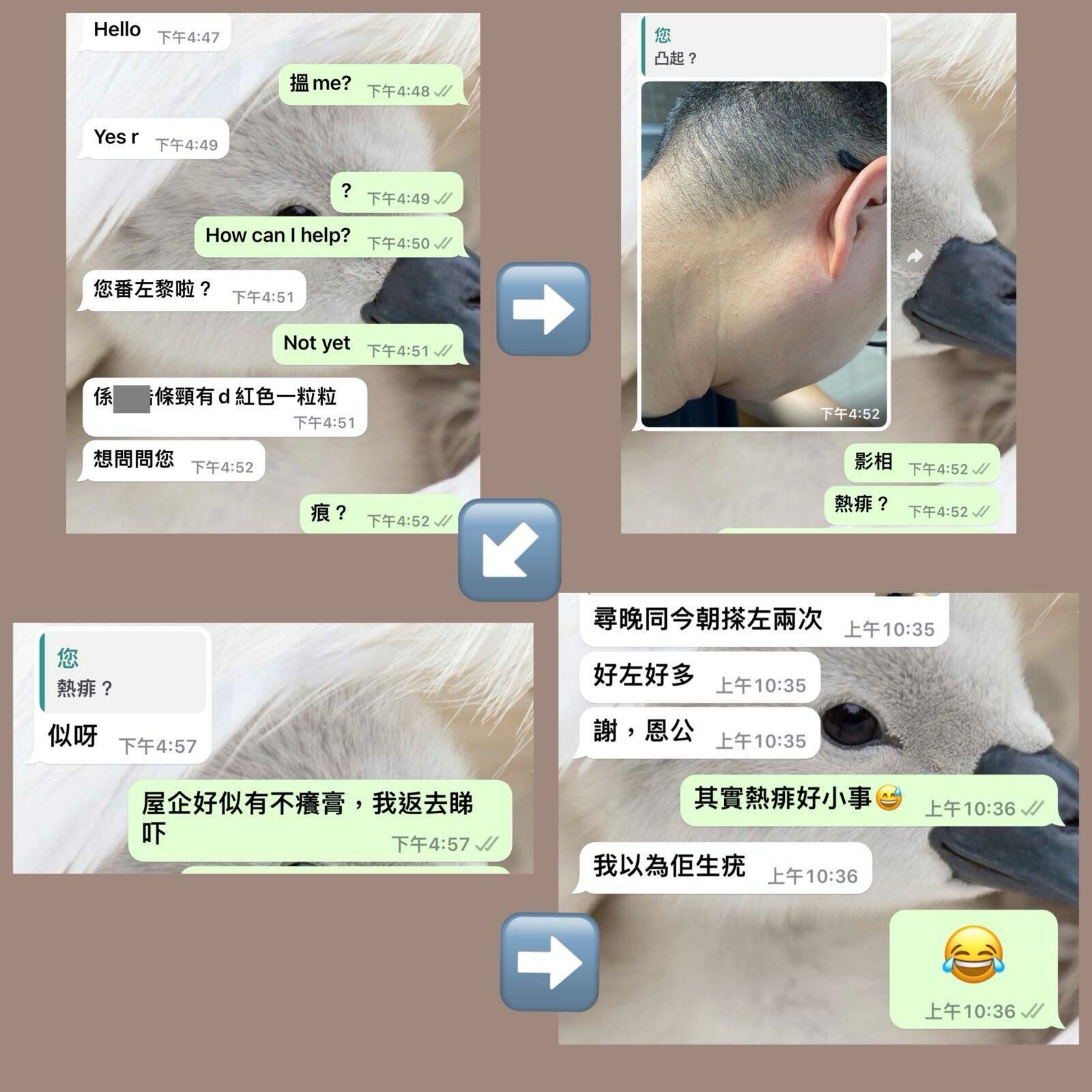 不癢膏對出疹、尿布疹、熱痱、暗瘡，日曬後發紅皮膚有所助益。可減輕疼痛、止痕、消炎及加速復元。